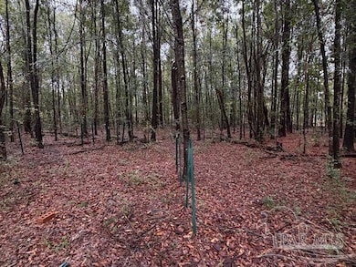 3218 Archies Way, Milton, FL 32571 - photo 3