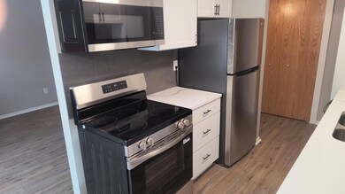 4630 Cedar Lake Rd S unit 2, Saint Louis Park, MN 55416 - photo 2