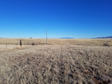 longview looking to BOBO land