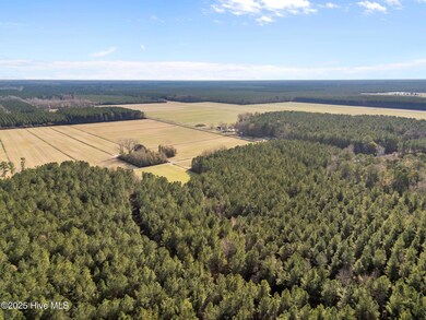 0 Sr 1150 unit 100543681, Blounts Creek, NC 27814 - photo 6