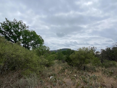Lot 129 Cr 140, Burnet, TX 78611 - photo 5