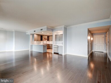 The Ritz-Carlton Residences, Baltimore, MD 21230 - photo 7