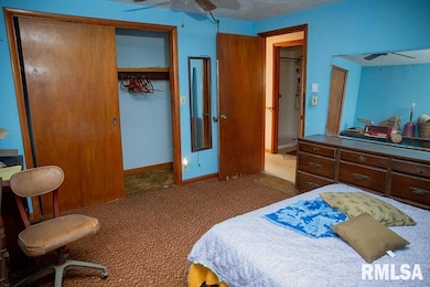 7319 Malone Rd, Alma, IL 62807 - photo 7