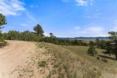 194 Rawhide Way, Como, CO 80432 - photo 5