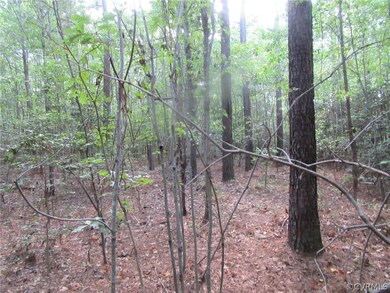 73-7-7 Fox Branch Rd, Dinwiddie, VA 23830 - photo 5