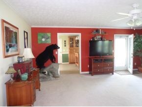 Spacious living room