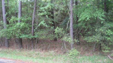 00 Cimmaron Rd, Stagecoach, TX 77355 - photo 5