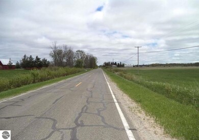VL Curtis Rd, Hale, MI 48739 - photo 3