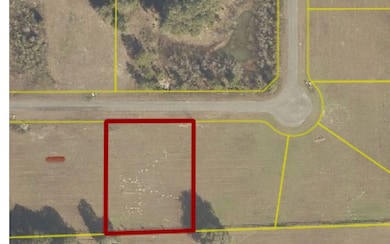 0 98th Pass unit 125976, Live Oak, FL 32060 - photo 2
