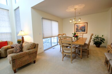 152 Welwyn Ct unit E, Lake Bluff, IL 60044 - photo 6