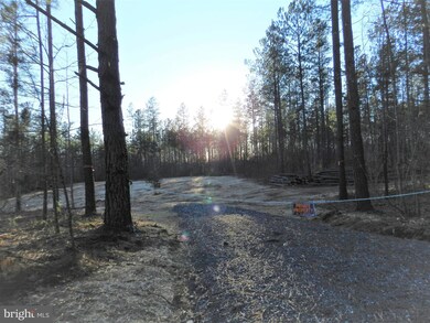 0 Eleys unit VACU2002268, Lignum, VA 22726 - photo 7