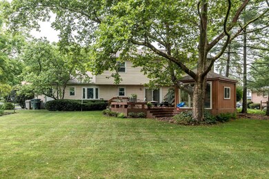 Rear Yard