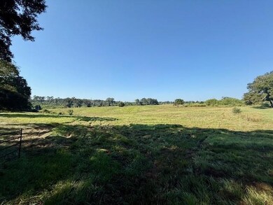 TBD Bennie Morris Rd, Mount Hermon, LA 70450 - photo 4