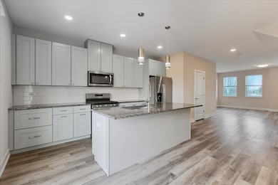 10604 Alice Mae Ct, Orland Park, IL 60462 - photo 3