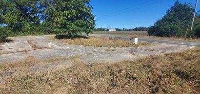 1382 S Carolina 184, Iva, SC 29655 - photo 3