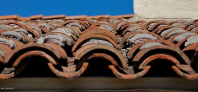 AMAZING Tile Roof Detail
