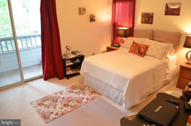 13070 Autumn Woods Way unit 303, Fairfax, VA 22033 - photo 3