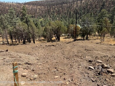 192 Crown Ridge Rd, Ruidoso, NM 88345 - photo 4