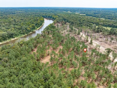 1.01 Mol Ac Old Hwy 24 Parcel 16, Mc Lain, MS 39456 - photo 4