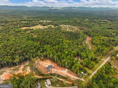 6418 Dawsonville Hwy, Dahlonega, GA 30533 - photo 7