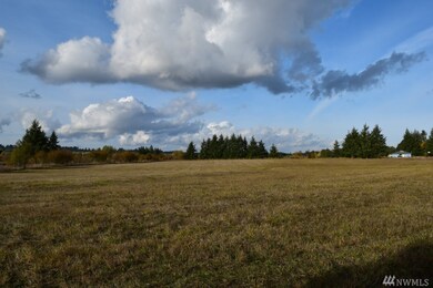 0 Drews Prairie Rd, Toledo, WA 98591 - photo 5