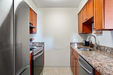 59-69 Msgr Patrick j Lydon Way unit 410, Boston, MA 02124 - photo 4