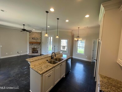 225 Greenfield Crossing, Brandon, MS 39042 - photo 4