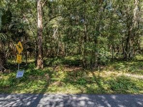 0 W Huff Rd unit MFRG5104867, Eustis, FL 32736 - photo 4
