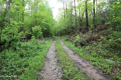 Loyd Knox Rd