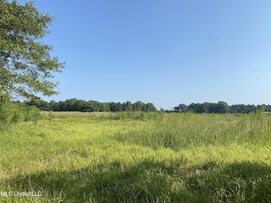 0 Highway 63 S, Lucedale, MS 39452 - photo 2