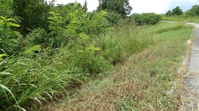 17 D Crappie Ln, Hilham, TN 38568 - photo 7