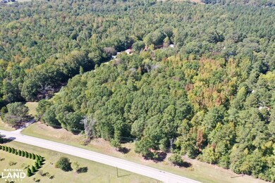 00 Liberty Hwy, Pendleton, SC 29670 - photo 4