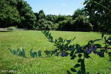 18100 Airmont Rd, Round Hill, VA 20141 - photo 7