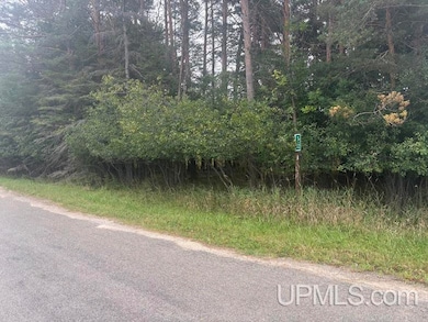 10088 S 75 Rd, Rapid River, MI 49878 - photo 2