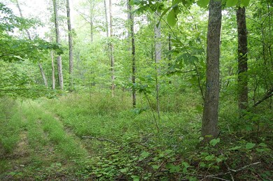 7 Bear Wallow Rd. - 1246393 007