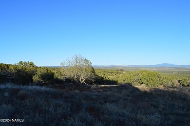 9908 Gleed Station Rd unit 187, Ash Fork, AZ 86320 - photo 7