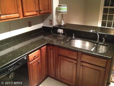 41984 Blue Flag Terrace unit 46, Stone Ridge, VA 20105 - photo 3