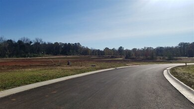 1536 Cabell Dr unit Lot 12 Highland Poin, Bowling Green, KY 42104 - photo 7