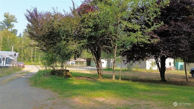 126 Chapman Rd, Morton, WA 98356 - photo 3