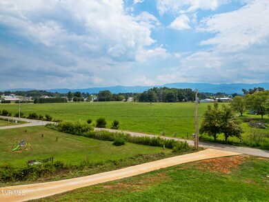 DJI_0690