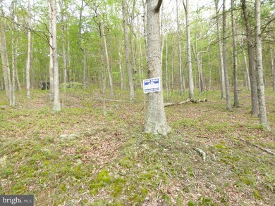 3 Cardinal Run, Augusta, WV 26704 - photo 7