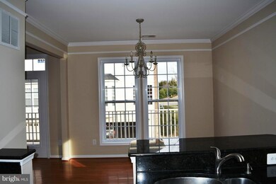 41947 Blue Flag Terrace unit 41947, Stone Ridge, VA 20105 - photo 3