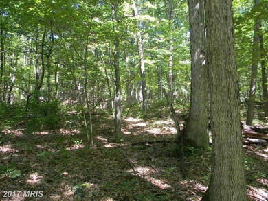 0 Back Rd unit 1003917327, Strasburg, VA 22657 - photo 2