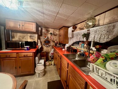 8705 S Jackson, Baldwin, MI 49304 - photo 7