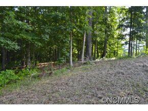 Wooded, Private Homesite