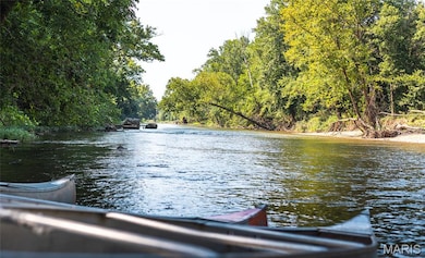 Water view with a forest