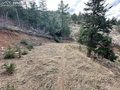 284 Neon Moon View, Manitou Springs, CO 80829 - photo 5