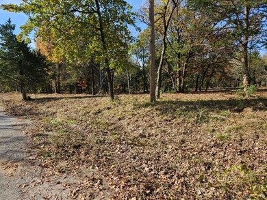 1503 S French Ave, Denison, TX 75020 - photo 4