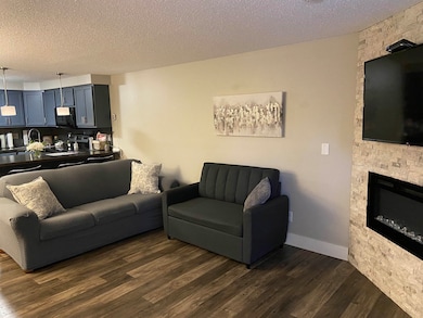 1093 Canyon Rd unit 406, Wisconsin Dells, WI 53965 - photo 3