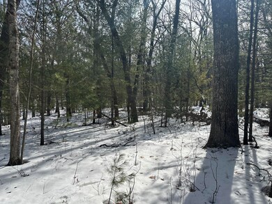 8192 W Cypress Ave, Baldwin, MI 49304 - photo 7